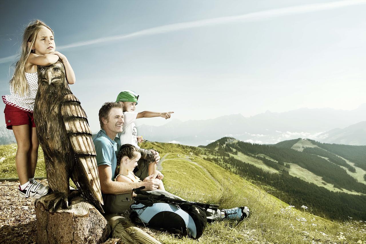 Schmiedhof Alm Otel Zell am See Dış mekan fotoğraf
