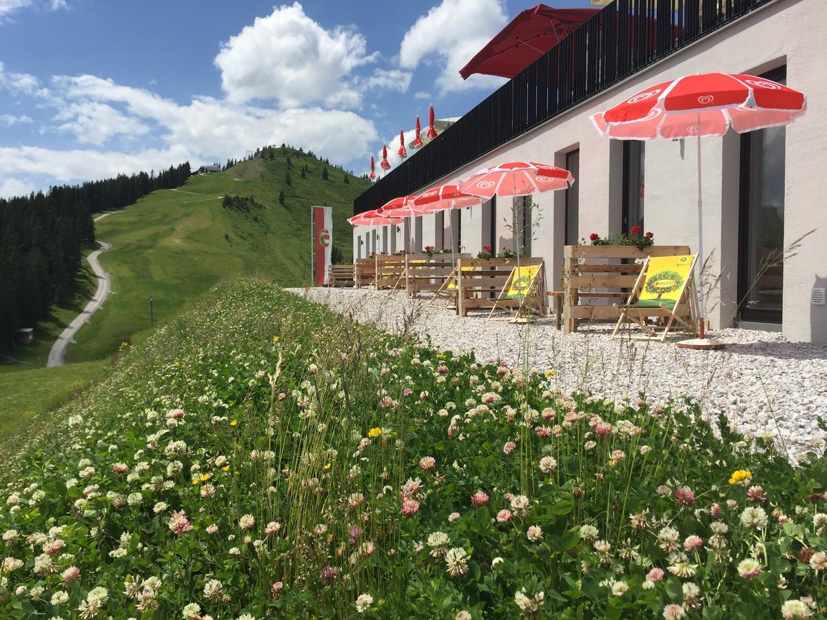 Schmiedhof Alm Otel Zell am See Dış mekan fotoğraf