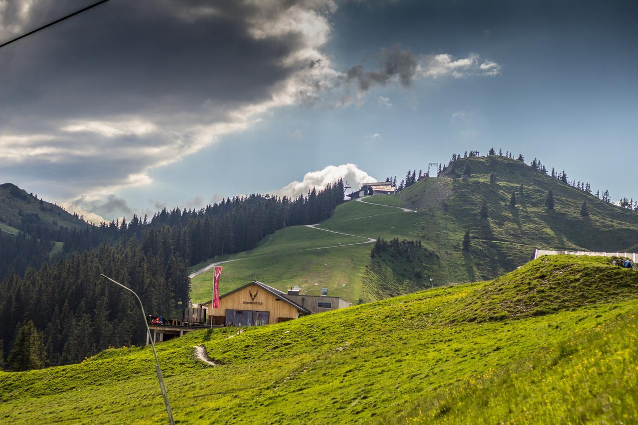Schmiedhof Alm Otel Zell am See Dış mekan fotoğraf